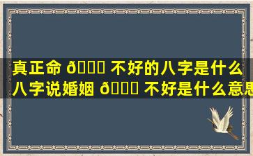 真正命 🐞 不好的八字是什么（八字说婚姻 🐈 不好是什么意思）